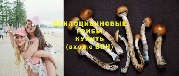 молекула духа Аркадак